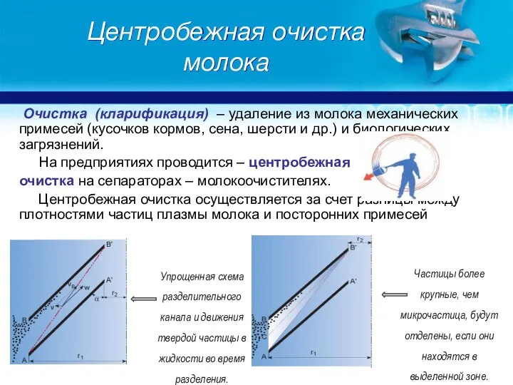 Центробежная очистка молока Очистка (кларификация) – удаление из молока механических