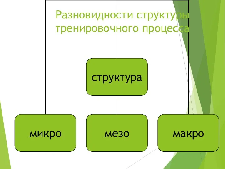 Разновидности структуры тренировочного процесса