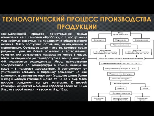 ТЕХНОЛОГИЧЕСКИЙ ПРОЦЕСС ПРОИЗВОДСТВА ПРОДУКЦИИ Технологический процесс приготовления блюда начинается не