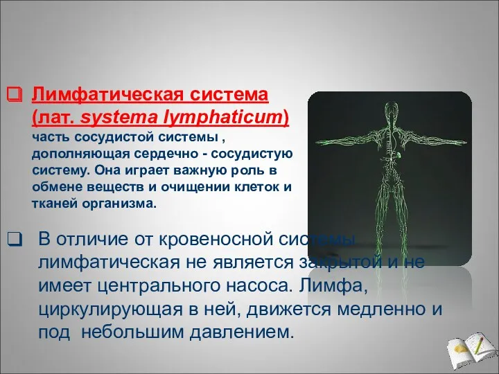Лимфатическая система (лат. systema lymphaticum) часть сосудистой системы , дополняющая сердечно - сосудистую