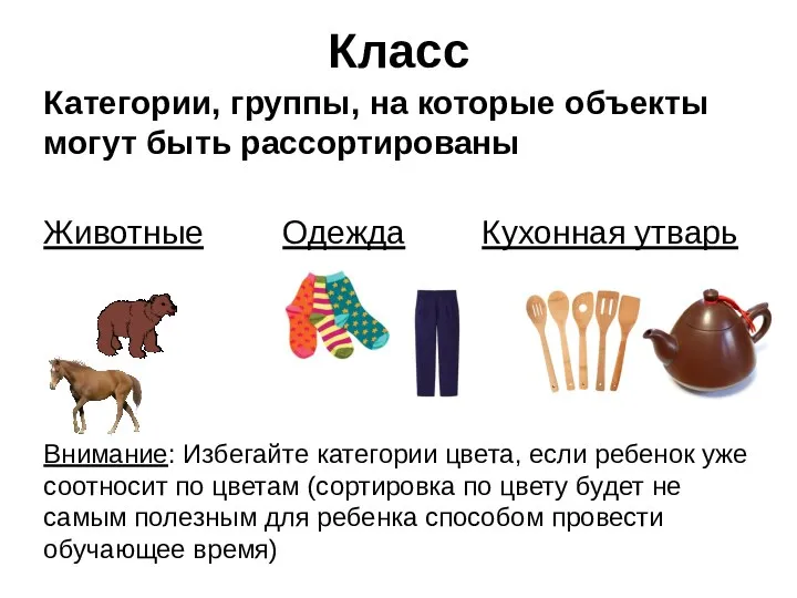 Класс Категории, группы, на которые объекты могут быть рассортированы Животные