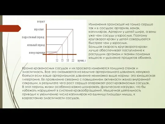 Изменения происходят не только сердце так и в сосудах: артериях,