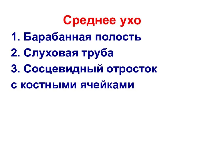 Среднее ухо 1. Барабанная полость 2. Слуховая труба 3. Сосцевидный отросток с костными ячейками