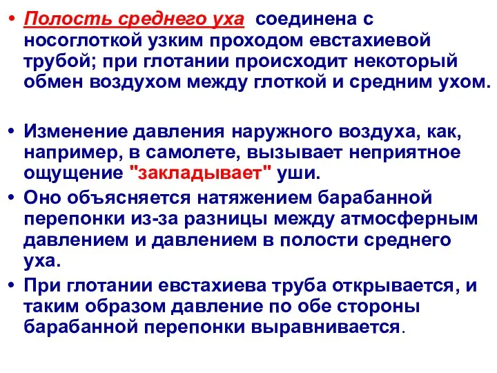 Полость среднего уха соединена с носоглоткой узким проходом евстахиевой трубой;