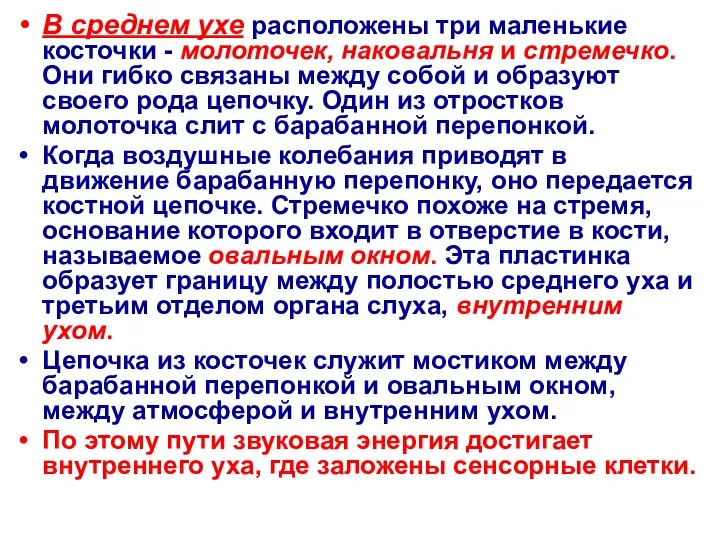 В среднем ухе расположены три маленькие косточки - молоточек, наковальня