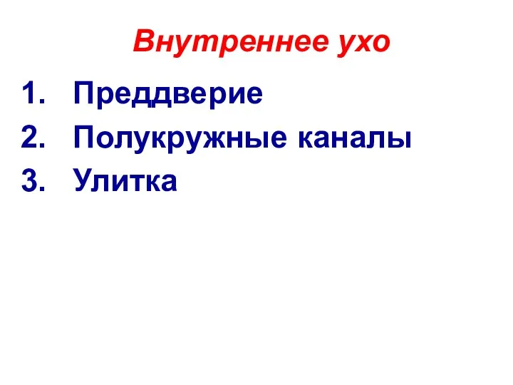 Внутреннее ухо Преддверие Полукружные каналы Улитка