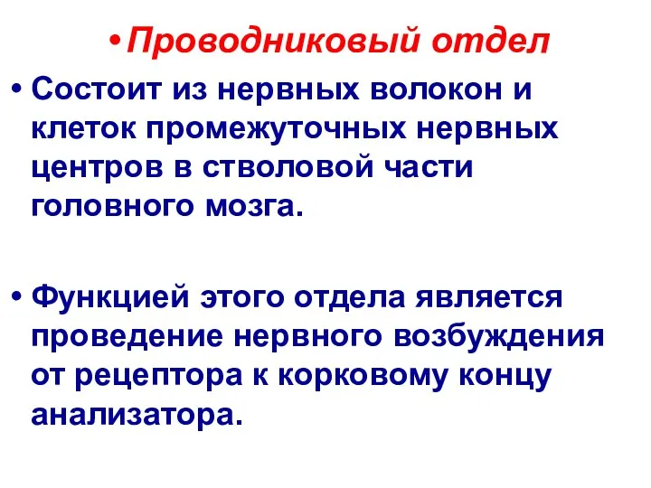 Проводниковый отдел Состоит из нервных волокон и клеток промежуточных нервных