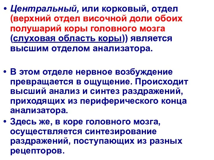 Центральный, или корковый, отдел (верхний отдел височной доли обоих полушарий