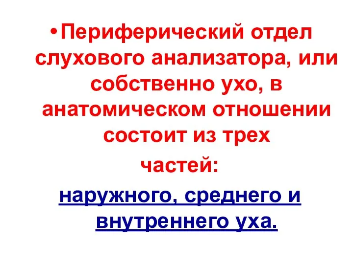 Периферический отдел слухового анализатора, или собственно ухо, в анатомическом отношении