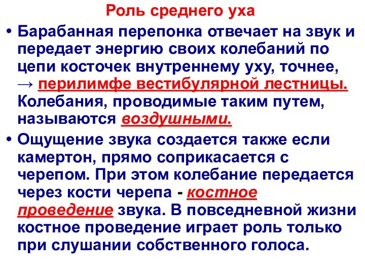 Роль среднего уха Барабанная перепонка отвечает на звук и передает