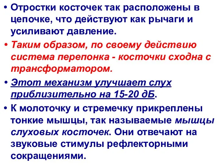 Отростки косточек так расположены в цепочке, что действуют как рычаги