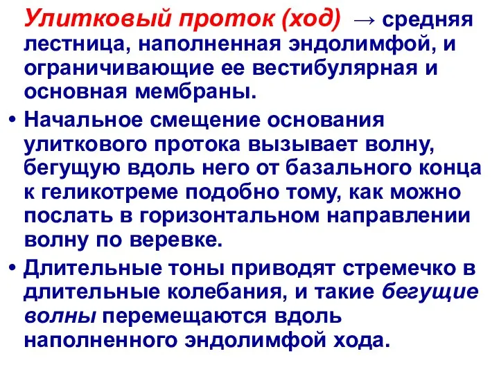 Улитковый проток (ход) → средняя лестница, наполненная эндолимфой, и ограничивающие