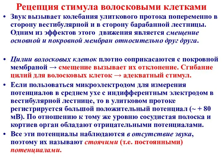 Рецепция стимула волосковыми клетками Звук вызывает колебания улиткового протока попеременно