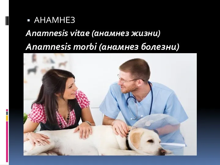 АНАМНЕЗ Anamnesis vitae (анамнез жизни) Anamnesis morbi (анамнез болезни)