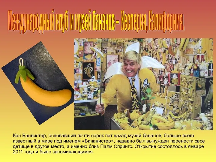 Кен Баннистер, основавший почти сорок лет назад музей бананов, больше всего известный в