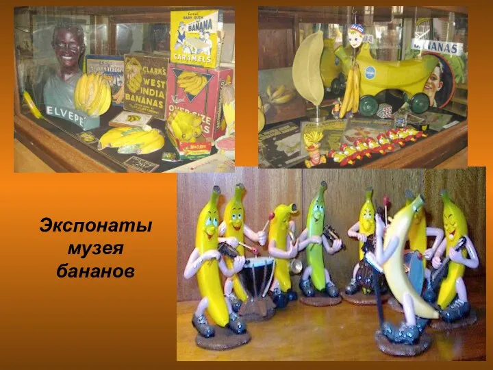 Экспонаты музея бананов