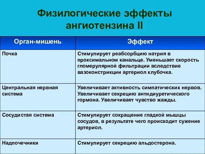 Физилогические эффекты ангиотензина II