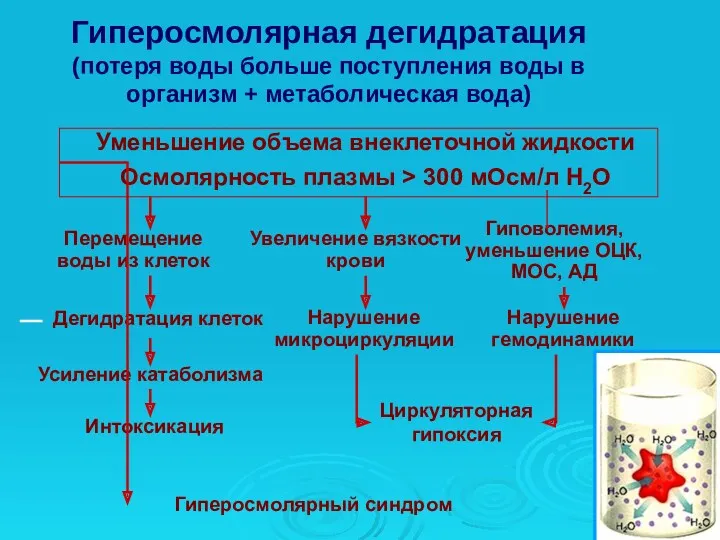 Уменьшение объема внеклеточной жидкости Осмолярность плазмы > 300 мОсм/л Н2О