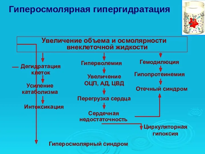 Увеличение объема и осмолярности внеклеточной жидкости Гиперосмолярная гипергидратация Дегидратация клеток