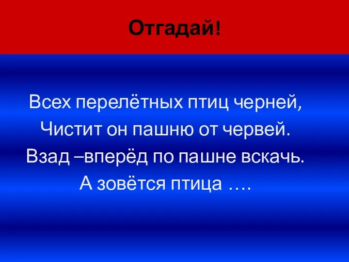 Отгадай! Всех перелётных птиц черней, Чистит он пашню от червей.