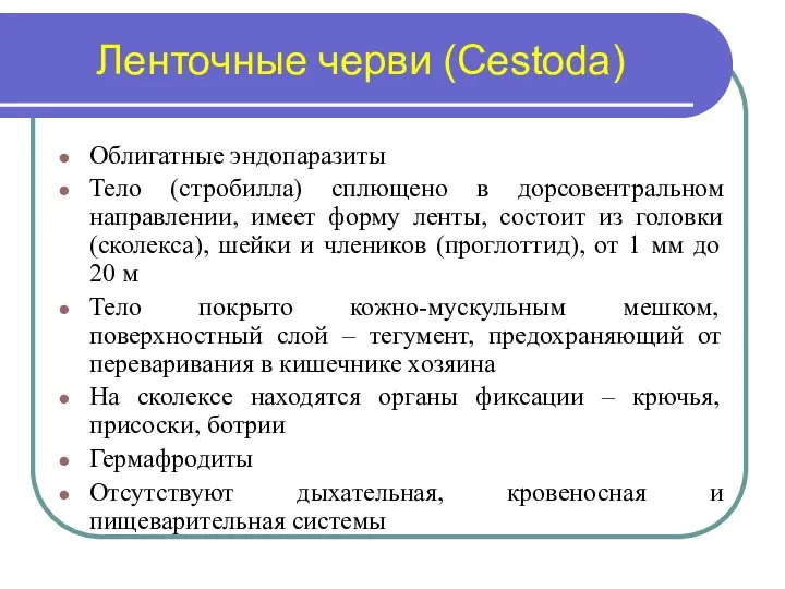 Ленточные черви (Сestoda) Облигатные эндопаразиты Тело (стробилла) сплющено в дорсовентральном