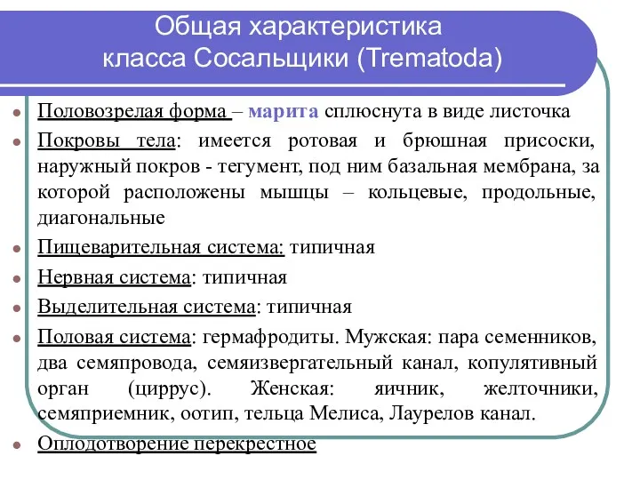 Общая характеристика класса Сосальщики (Trematodа) Половозрелая форма – марита сплюснута