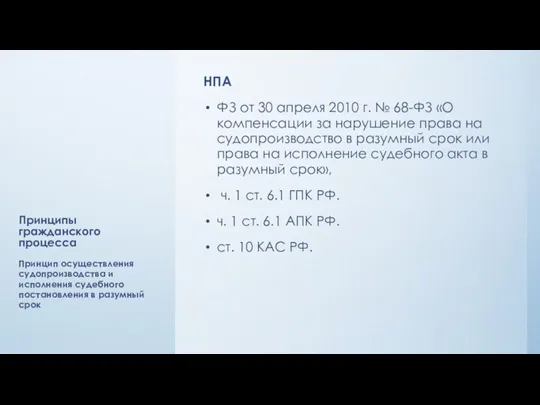 Принципы гражданского процесса НПА ФЗ от 30 апреля 2010 г.