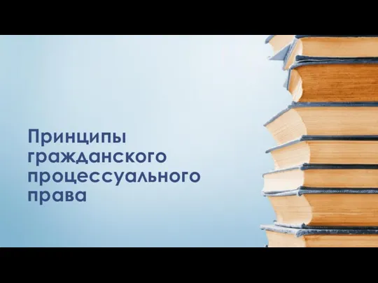 Принципы гражданского процессуального права