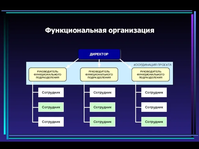 Функциональная организация