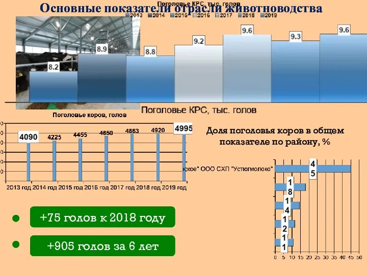 Основные показатели отрасли животноводства +75 голов к 2018 году +905