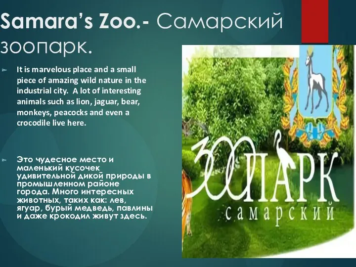 Samara’s Zoo.- Самарский зоопарк. It is marvelous place and a small piece of