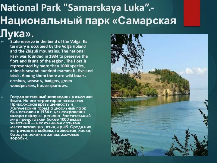 National Park "Samarskaya Luka”.- Национальный парк «Самарская Лука». State reserve in the bend