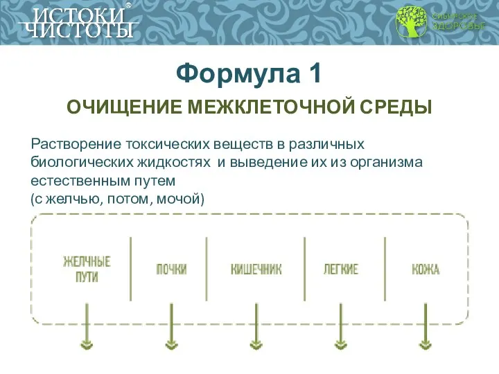 Формула 1 ОЧИЩЕНИЕ МЕЖКЛЕТОЧНОЙ СРЕДЫ Растворение токсических веществ в различных биологических жидкостях и