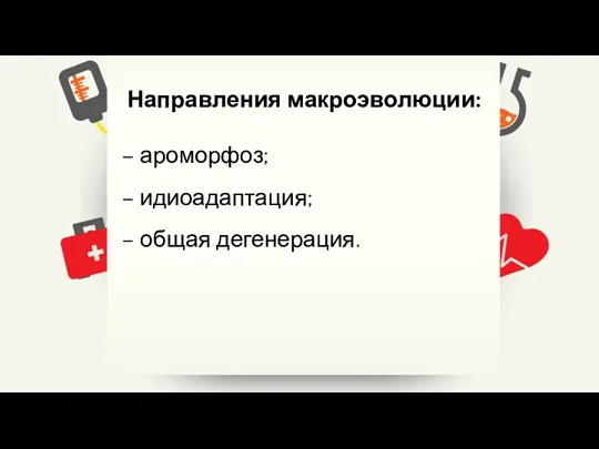 Направления макроэволюции: – ароморфоз; – идиоадаптация; – общая дегенерация.