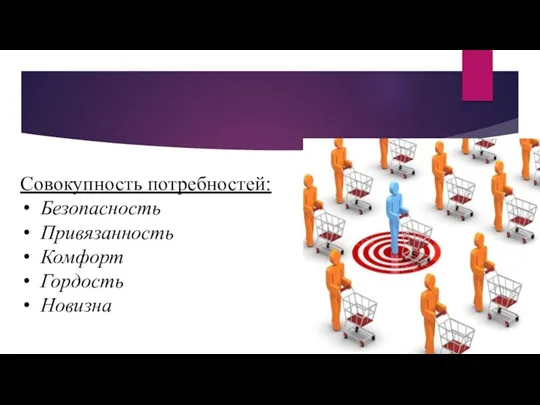 Совокупность потребностей: Безопасность Привязанность Комфорт Гордость Новизна