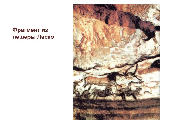 Фрагмент из пещеры Ласко