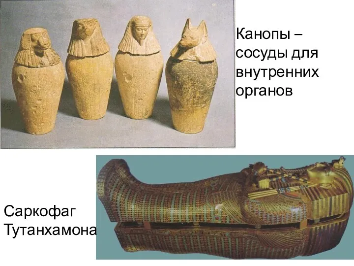 Канопы – сосуды для внутренних органов Саркофаг Тутанхамона