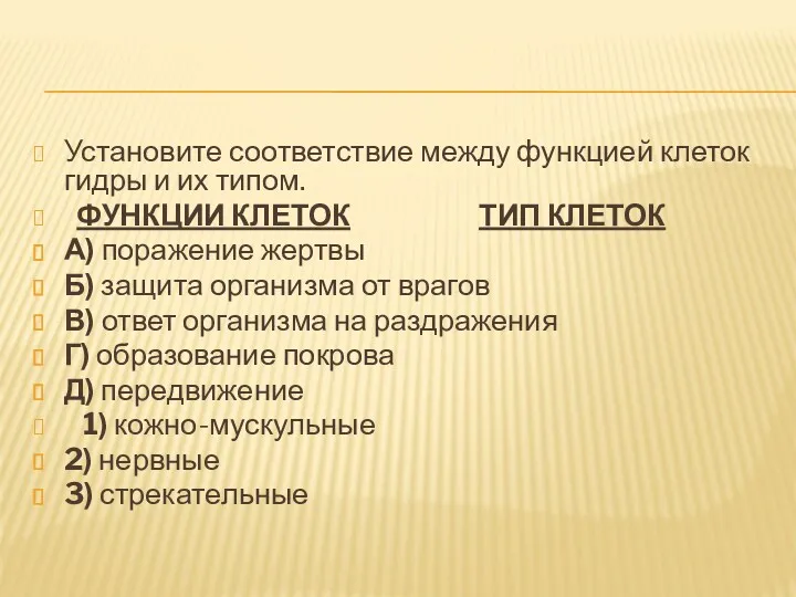 Установите соответствие между функцией клеток гидры и их типом. ФУНКЦИИ