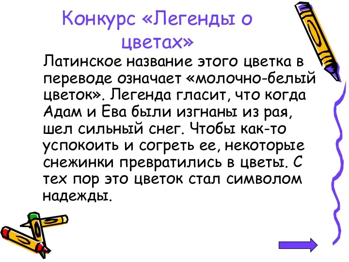 Конкурс «Легенды о цветах» Латинское название этого цветка в переводе