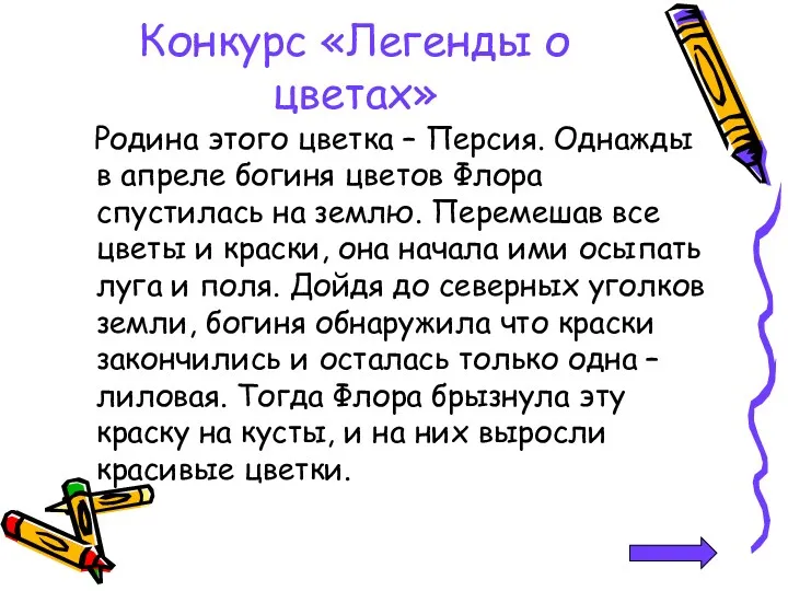 Конкурс «Легенды о цветах» Родина этого цветка – Персия. Однажды