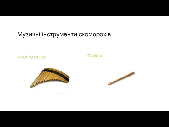 Музичні інструменти скоморохів Флейта пана Сопілка