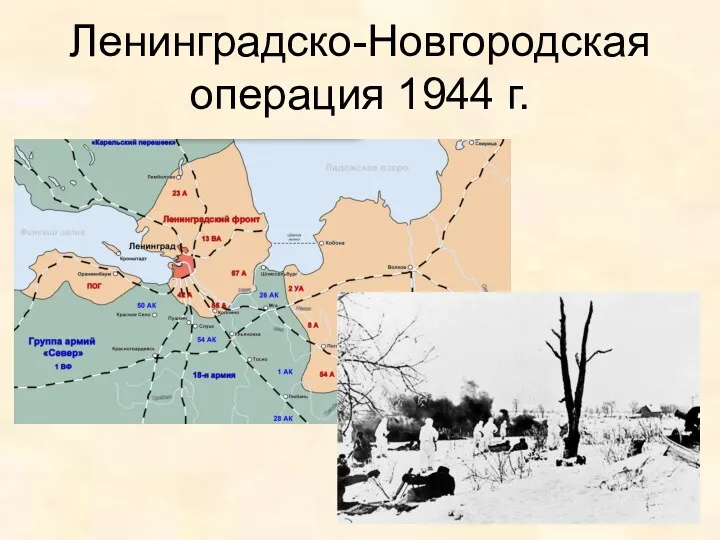 Ленинградско-Новгородская операция 1944 г.