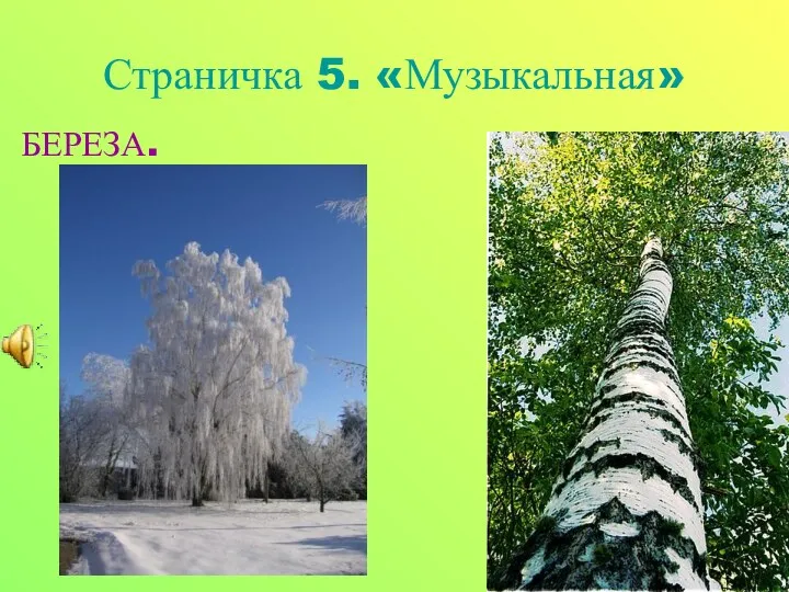 Страничка 5. «Музыкальная» БЕРЕЗА.