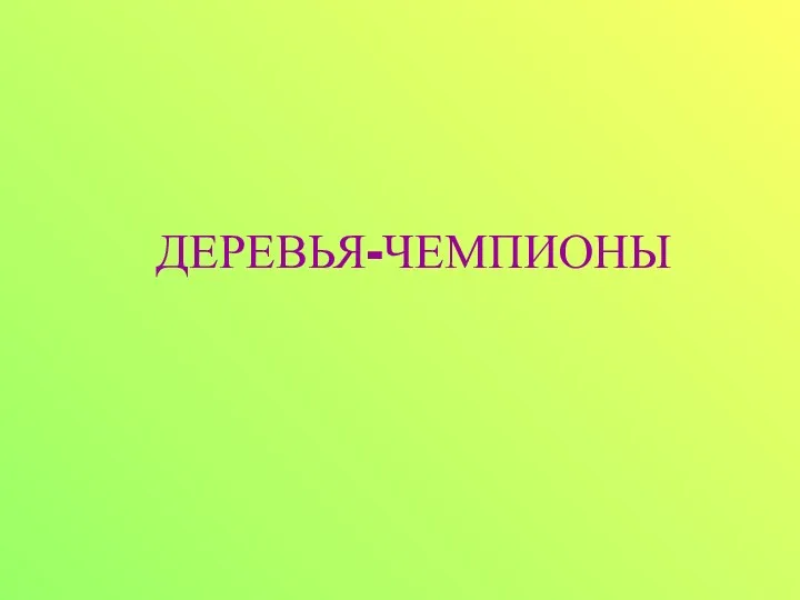 ДЕРЕВЬЯ-ЧЕМПИОНЫ