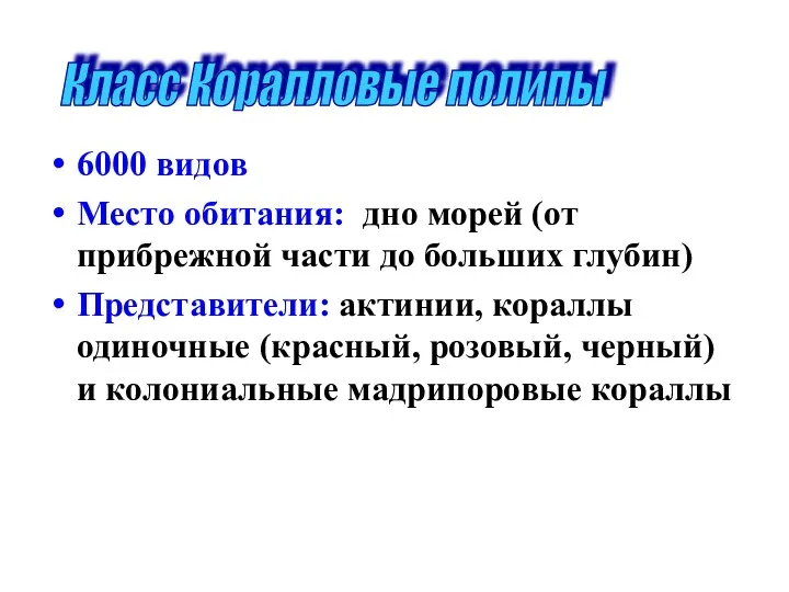 6000 видов Место обитания: дно морей (от прибрежной части до больших глубин) Представители: