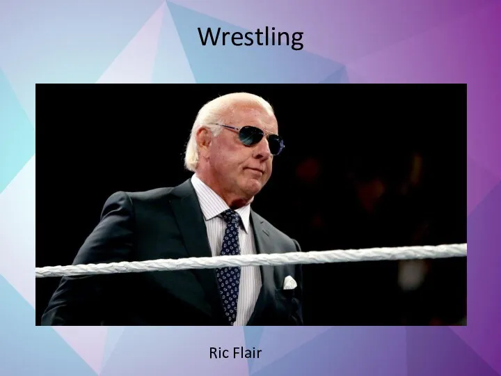 Wrestling Ric Flair