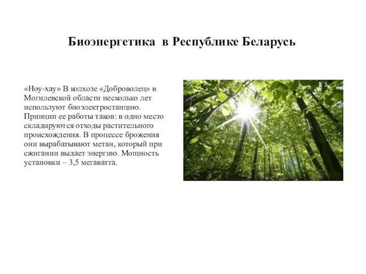 «Ноу-хау» В колхозе «Доброволец» в Могилевской области несколько лет используют биоэлектростанцию. Принцип ее