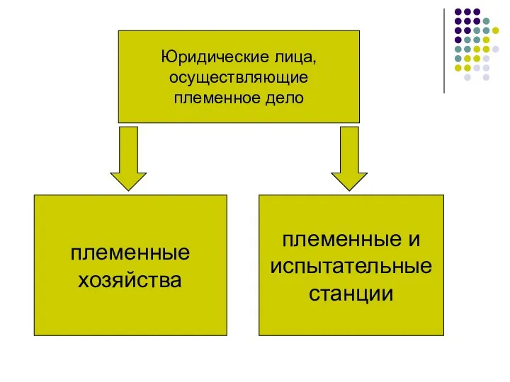 Юридические лица, осуществляющие племенное дело племенные хозяйства племенные и испытательные станции