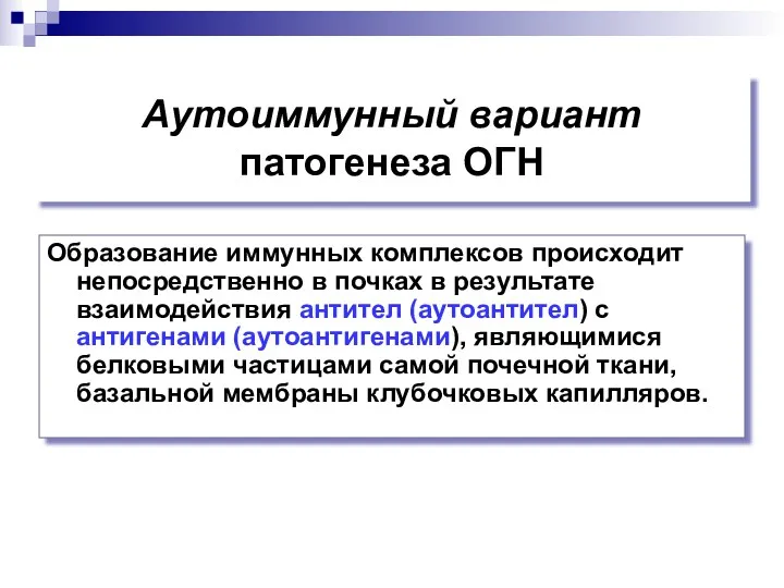 Аутоиммунный вариант патогенеза ОГН Образование иммунных комплексов происходит непосредственно в