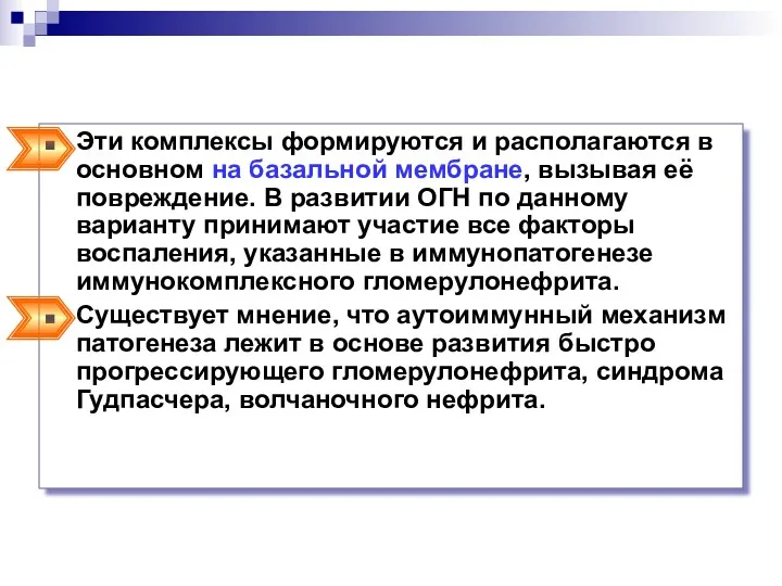 Эти комплексы формируются и располагаются в основном на базальной мембране,